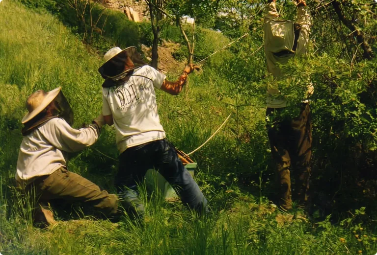 San Giovanni, fuochi e pozioni